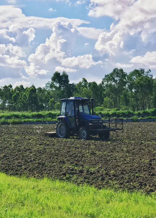 Landbouwgrondteelt
