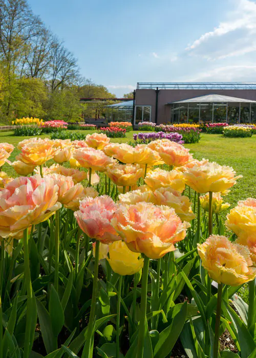 Tuinbewerking